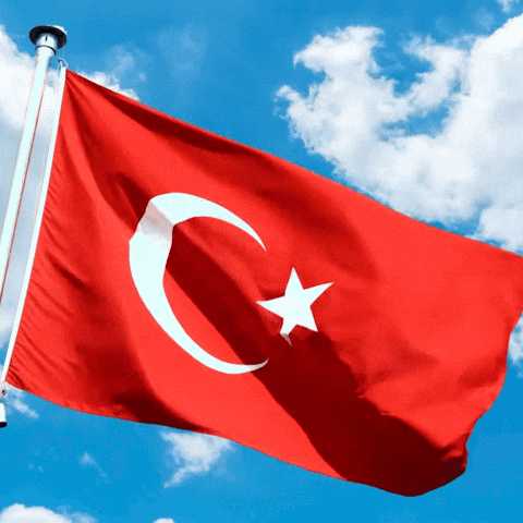 Dalgalanan Türk bayrağı